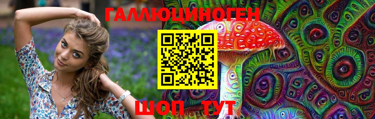 Галлюциногенные грибы Psilocybe Новоуральск