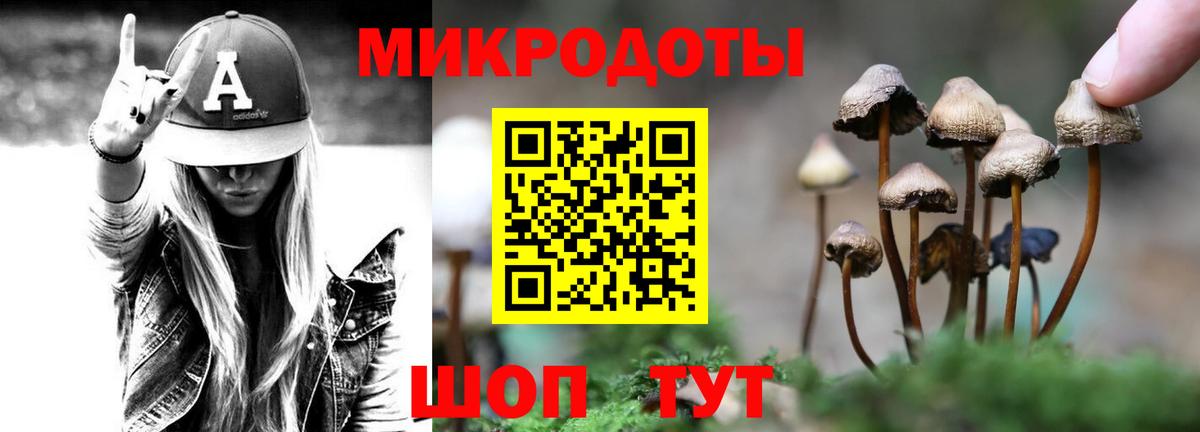 Новоуральск  Псилоцибиновые грибы мицелий  Вход с VPN 